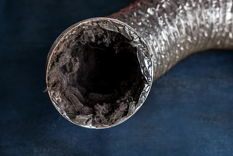 Dryer Vent Cleaning - A dirty Dryer Vent
